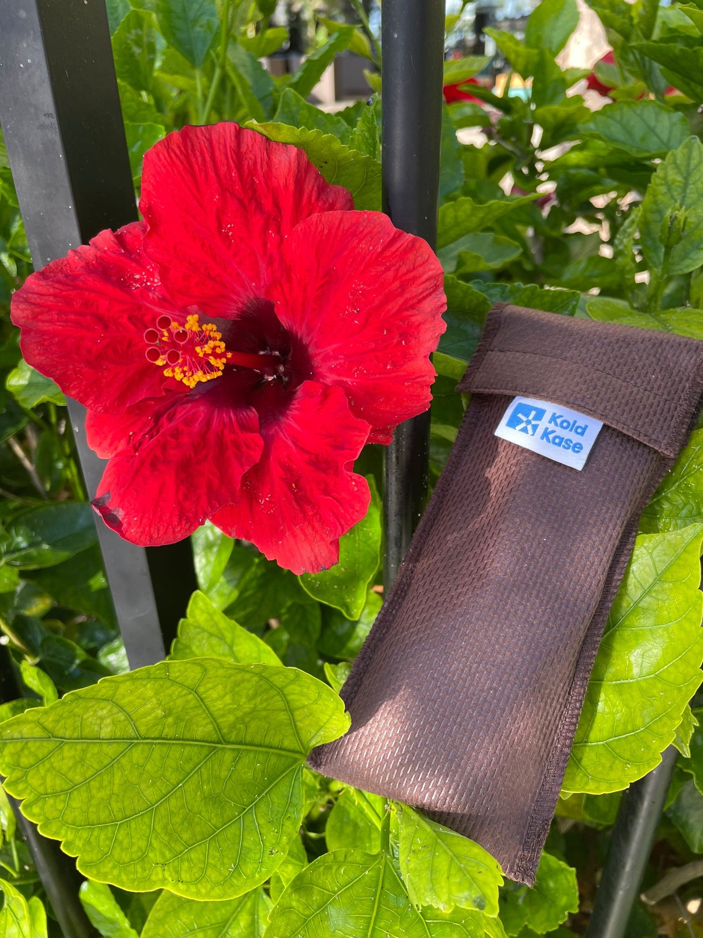 cartera porta insulina para una pluma de color marrón al lado de una flor roja