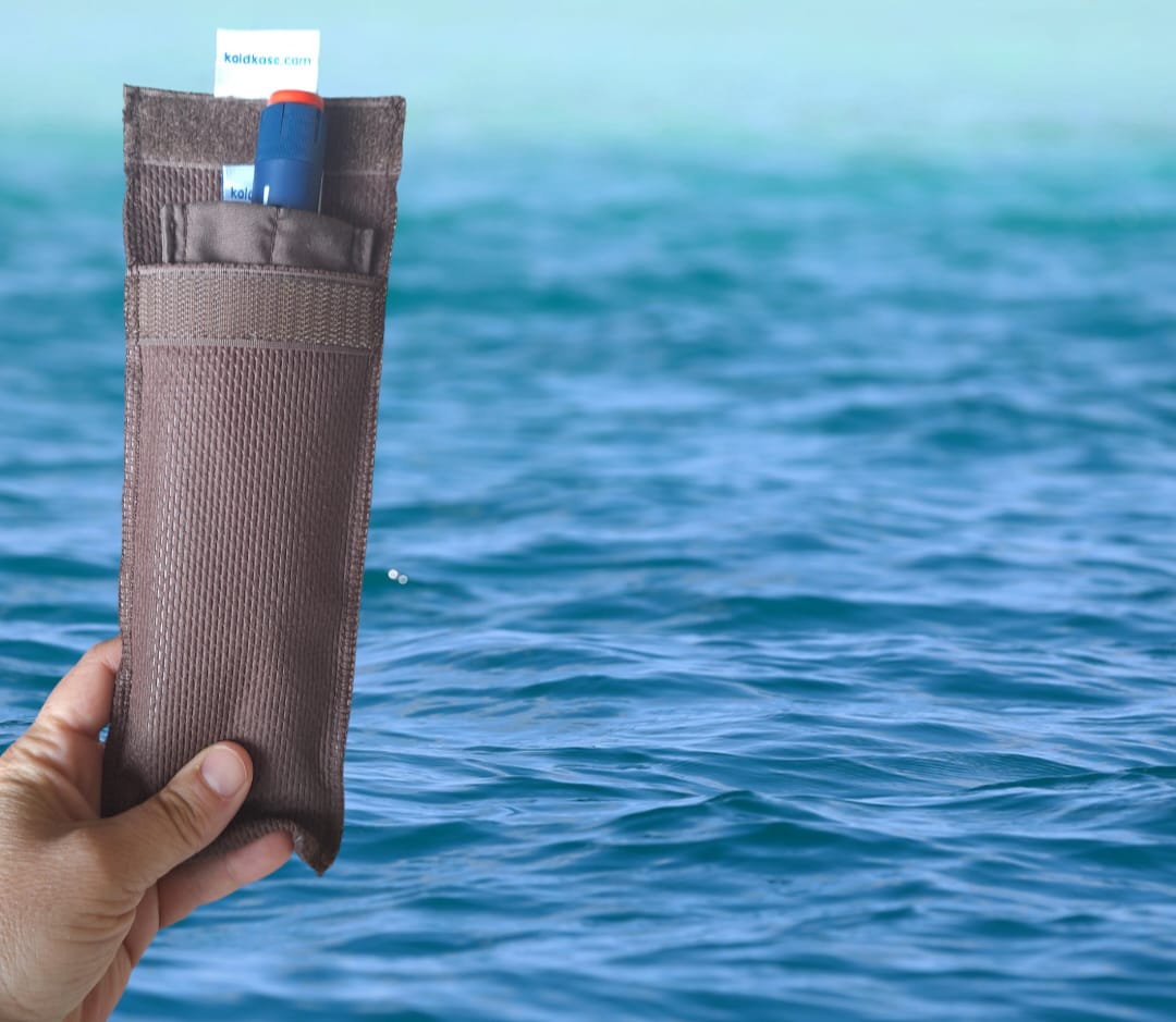 cartera porta insulina para una pluma  de color marrón con el mar de fondo